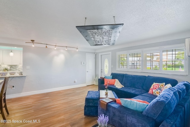 1029 Palmer Rd, Rockledge, FL 32955 - living room with light wood finished floors, a textured ceiling, and track lighting