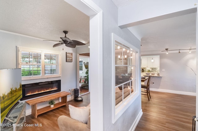 1029 Palmer Rd, Rockledge, FL 32955 - living area with wood finished floors, a textured ceiling, ceiling fan, and a glass covered fireplace