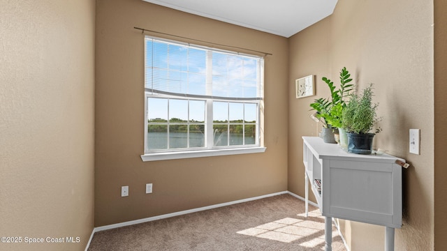 1766 Sophias Dr Unit 204, Melbourne, FL 32940 - office space with carpet, baseboards, and a water view