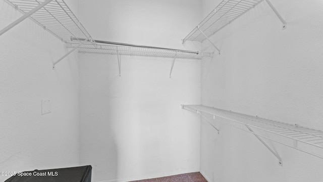 1766 Sophias Dr Unit 204, Melbourne, FL 32940 - view of spacious closet