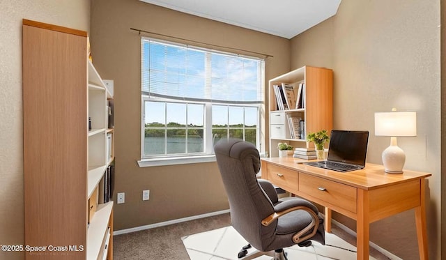 1766 Sophias Dr Unit 204, Melbourne, FL 32940 - office with carpet flooring and baseboards