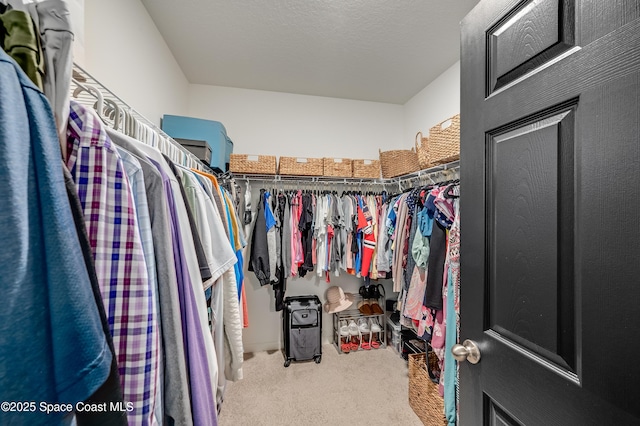 1460 Glendale Ave NW, Palm Bay, FL 32907 - walk in closet featuring carpet flooring