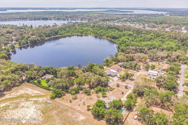 3909 Honey Dr, Fruitland Park, FL 34731 - photo 42