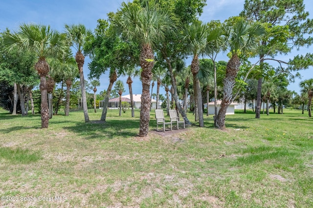 208 Chello Ave, Sebastian, FL 32958 - view of green lawn
