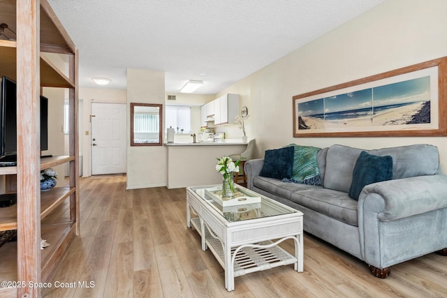 217 Ocean Park Ln Unit V49, Cape Canaveral, FL 32920 - living room with light wood-type flooring and a textured ceiling