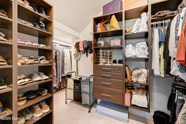 2291 Trava Ln, Melbourne, FL 32940 - spacious closet with carpet and vaulted ceiling