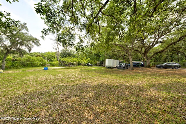 1501 Satellite Blvd, Cocoa, FL 32926 - view of green lawn