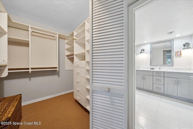 1527 S Atlantic Ave Unit 201, Cocoa Beach, FL 32931 - spacious closet with a sink and light colored carpet
