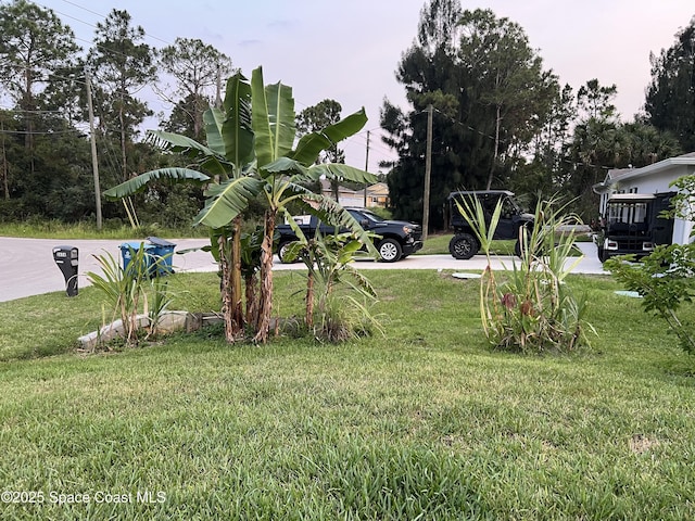 2642 Fleming Ave SW, Palm Bay, FL 32908 - view of green lawn