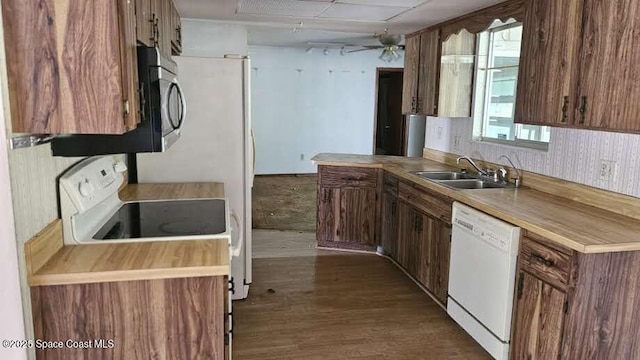 320 Algiers Ave SE, Palm Bay, FL 32909 - kitchen featuring white dishwasher, a sink, dark wood-type flooring, stainless steel microwave, and ceiling fan