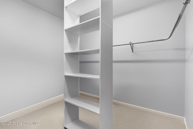 1629 Baseline Ln, Vero Beach, FL 32967 - view of spacious closet