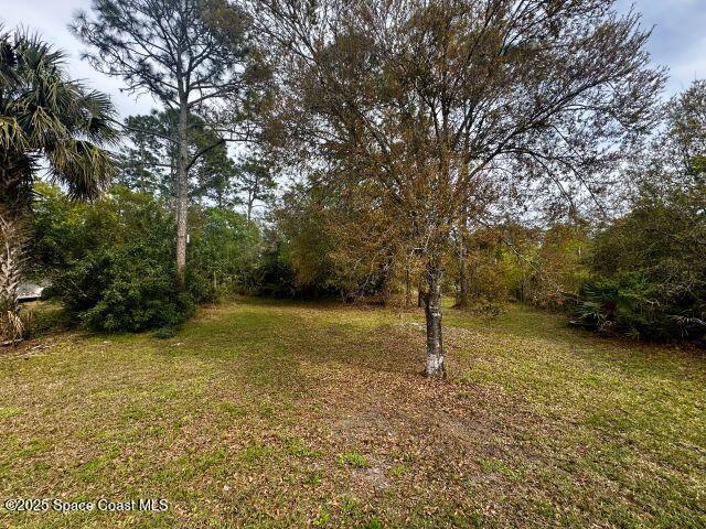 4035 Toby Ave, Grant-Valkaria, FL 32950 - photo 24