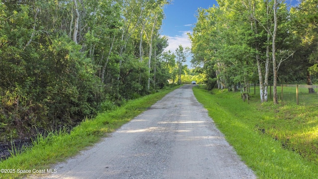 LOT118 Doe Dr, Saint Cloud, FL 34772 - photo 4