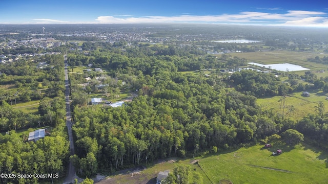 LOT118 Doe Dr, Saint Cloud, FL 34772 - photo 6