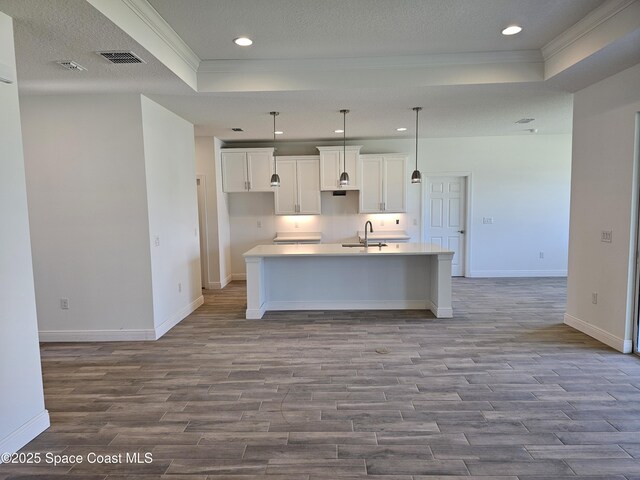 571 Fondulac St, Palm Bay, FL 32908 - kitchen with a tray ceiling, crown molding, wood finished floors, white cabinetry, and an island with sink