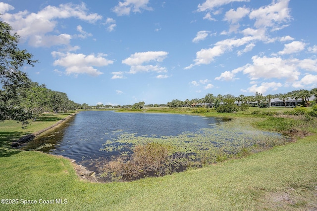 960 Mayflower Ave, Melbourne, FL 32940 - water view