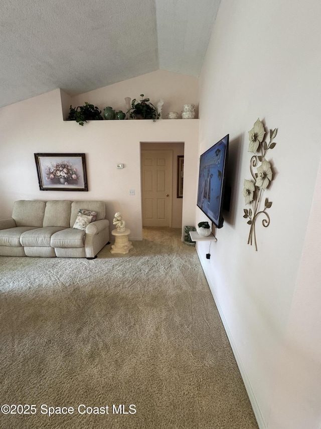 157 Lehigh Ave SE, Palm Bay, FL 32909 - living room featuring carpet flooring, lofted ceiling, and a textured ceiling