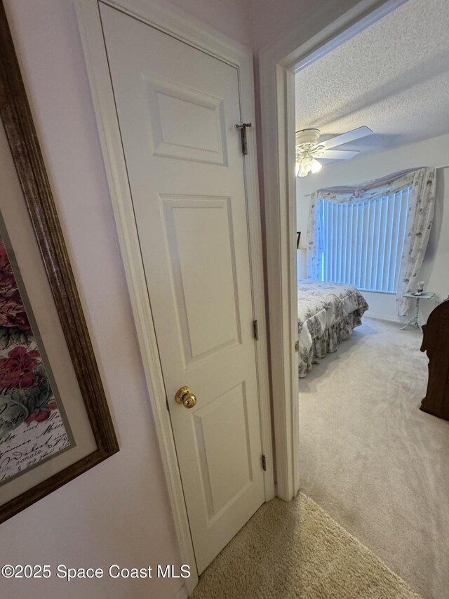 157 Lehigh Ave SE, Palm Bay, FL 32909 - hall with carpet flooring