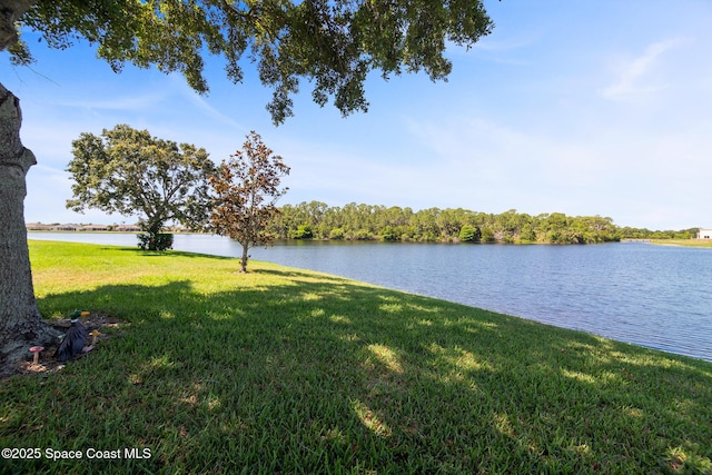 1685 Timacuan Dr, Melbourne, FL 32940 - water view