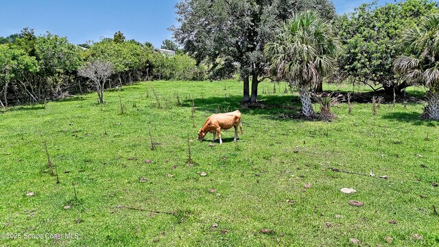 0000 Orlando Ave, Mims, FL 32754 - photo 19