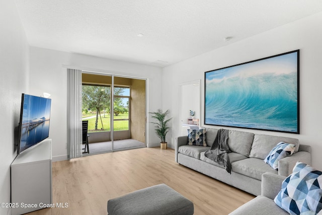 5928 Van Ness Dr, Melbourne, FL 32940 - living area with wood finished floors and a textured ceiling