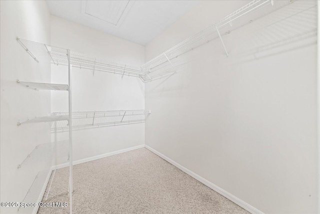 4160 Aberdeen Cir, Rockledge, FL 32955 - view of spacious closet