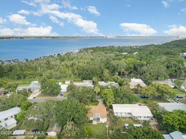 118 S Indian Cir, Cocoa, FL 32922 - drone / aerial view of a large body of water and a heavily wooded area