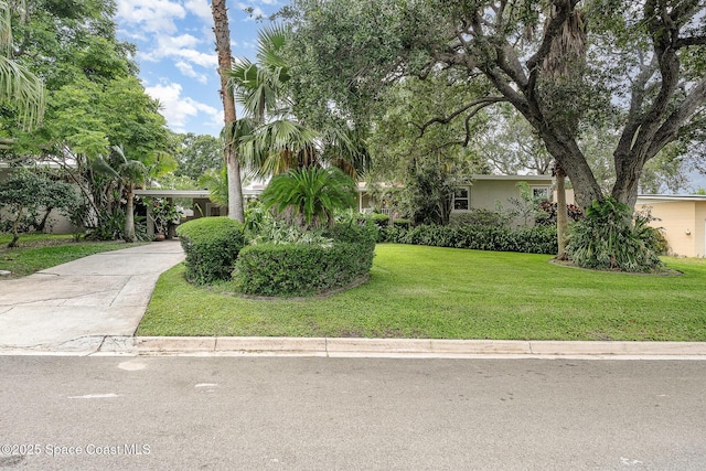 118 S Indian Cir, Cocoa, FL 32922 - view of front of property featuring a front lawn, concrete driveway, and stucco siding