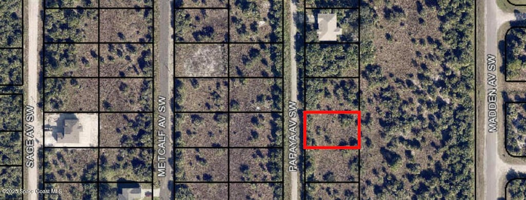 3159 Papaya Ave, Palm Bay, FL 32909