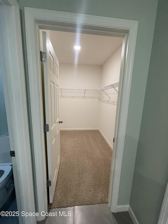 7055 Topaz Dr, Grant-Valkaria, FL 32949 - spacious closet featuring carpet flooring