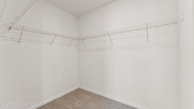 422 Moray Dr SW, Palm Bay, FL 32908 - walk in closet with carpet flooring