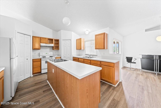 3380 Toledo Ave, Palm Bay, FL 32908 - kitchen with white appliances, under cabinet range hood, a sink, vaulted ceiling, and dark wood-type flooring