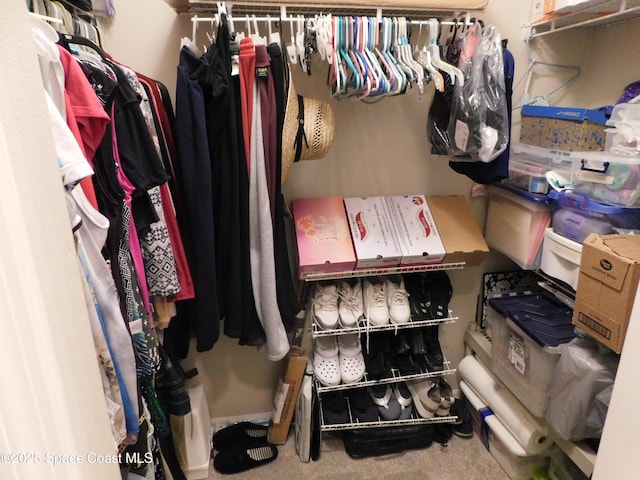 1076 Pine Creek Cir NE, Palm Bay, FL 32905 - spacious closet with carpet flooring
