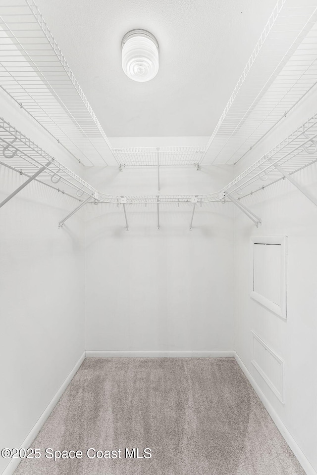 345 Dorset Dr, Cocoa Beach, FL 32931 - walk in closet featuring carpet floors