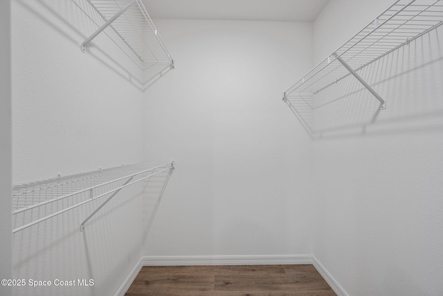 1650 Wyoming Dr SE, Palm Bay, FL 32909 - spacious closet featuring wood finished floors
