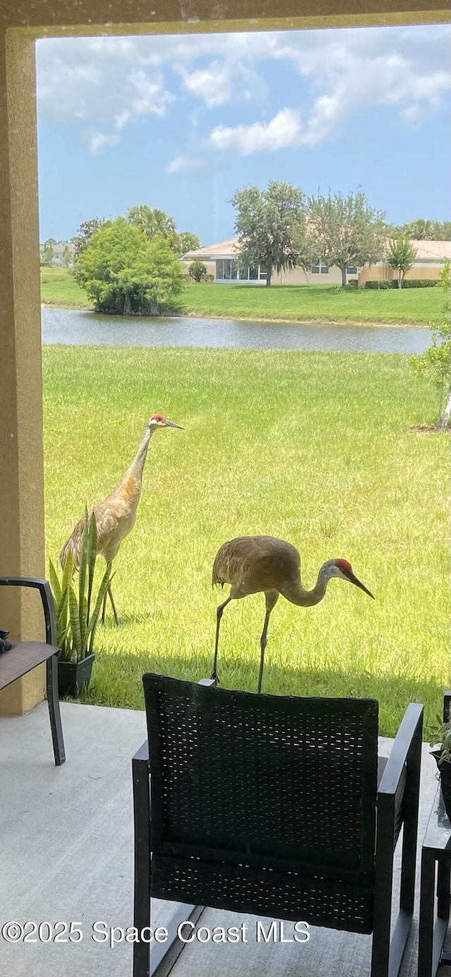 3547 Aberdeen Dr SE, Palm Bay, FL 32909 - view of yard with a water view