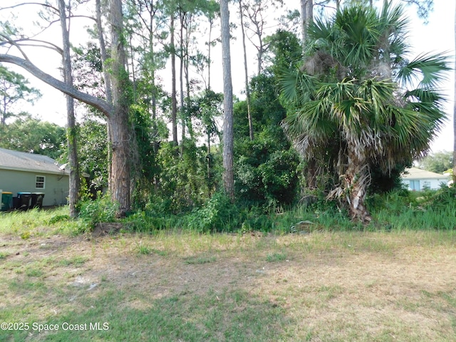 1055 Pace Dr NW, Palm Bay, FL 32907