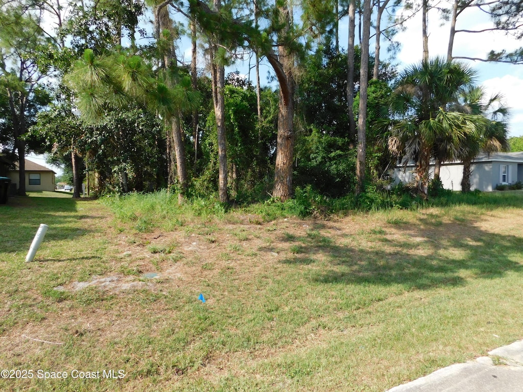 1055 Pace Dr NW, Palm Bay, FL 32907
