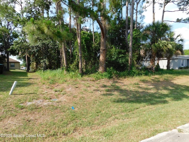 1055 Pace Dr NW, Palm Bay, FL 32907