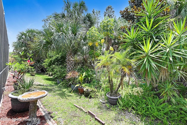 2263 Chinaberry Cir SE, Palm Bay, FL 32909 - view of yard