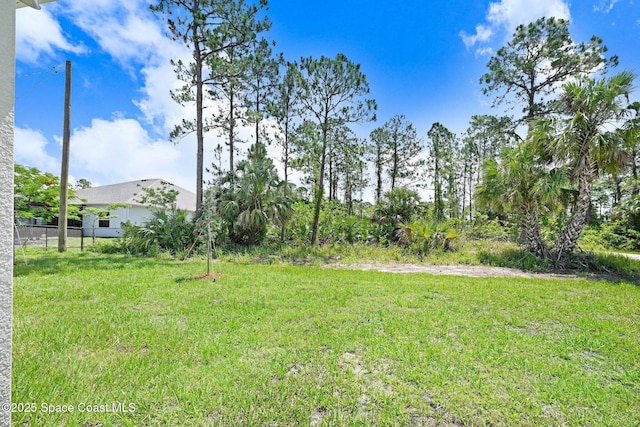 2597 Galiano Ave, Palm Bay, FL 32908 - view of yard