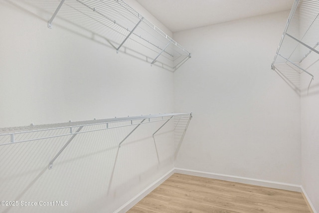 2597 Galiano Ave, Palm Bay, FL 32908 - walk in closet featuring light wood-style floors