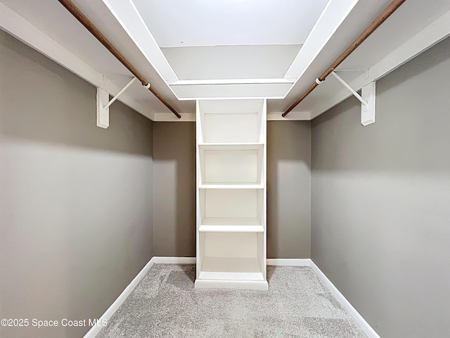201 Woody Cir, Melbourne Beach, FL 32951 - walk in closet with carpet