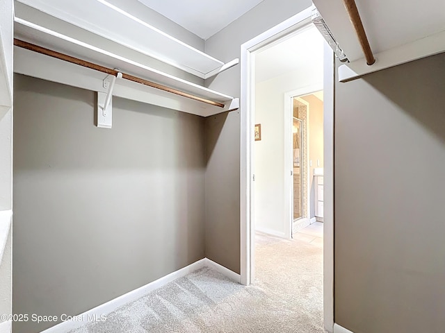 201 Woody Cir, Melbourne Beach, FL 32951 - spacious closet with light colored carpet