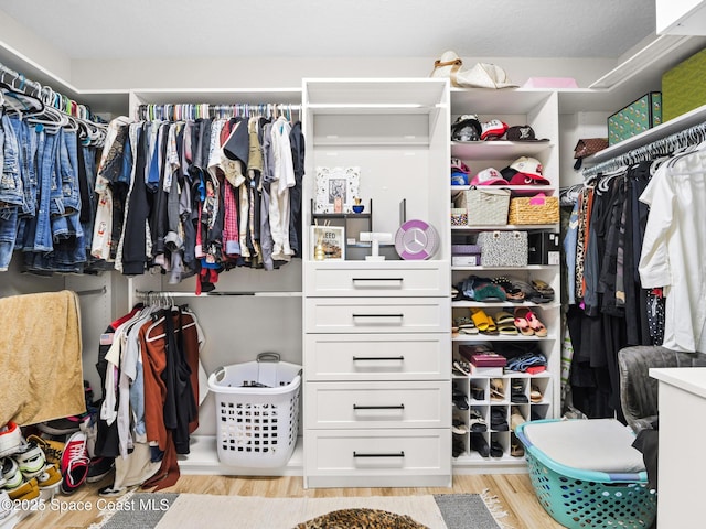 4647 Broomsedge Cir, West Melbourne, FL 32904 - spacious closet featuring light wood-style floors