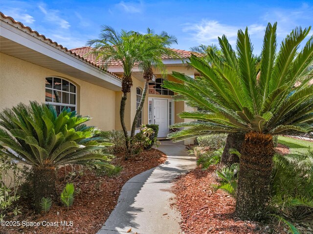 8051 Daventry Dr, Melbourne, FL 32940 - doorway to property featuring stucco siding and a tile roof
