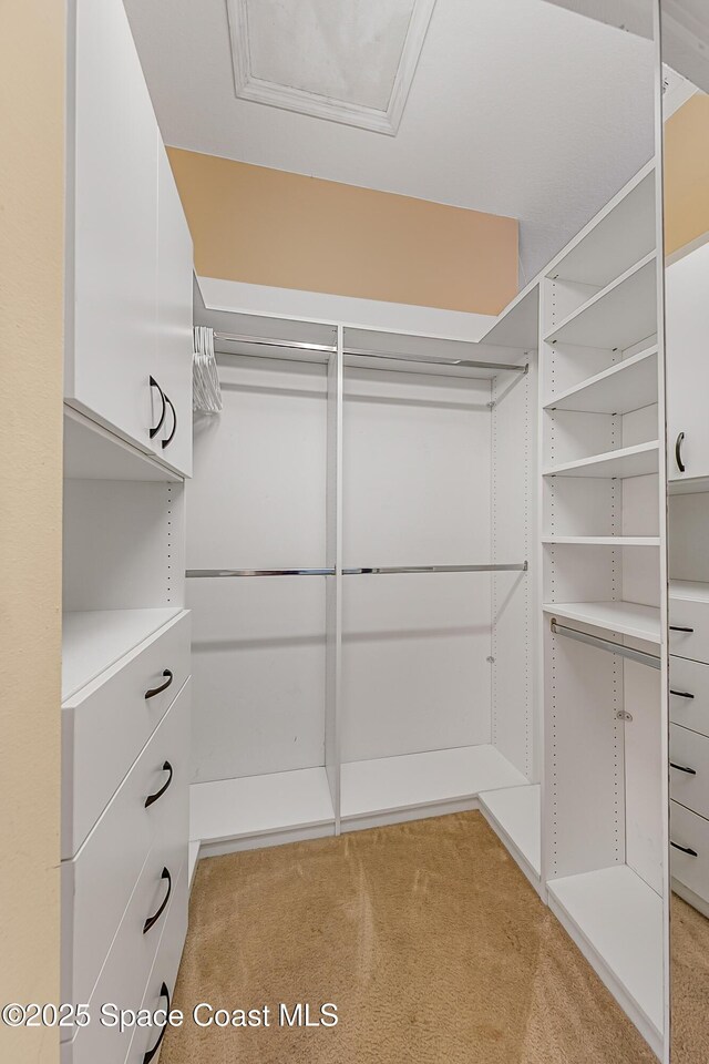 8051 Daventry Dr, Melbourne, FL 32940 - walk in closet featuring light carpet