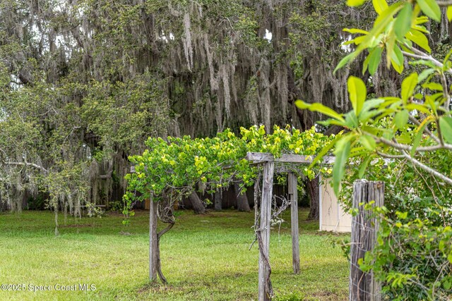 2280 Grove St, Titusville, FL 32796 - view of green lawn