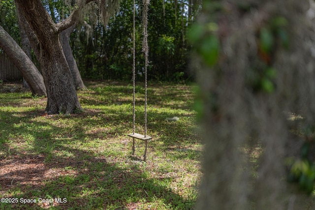2280 Grove St, Titusville, FL 32796 - view of yard