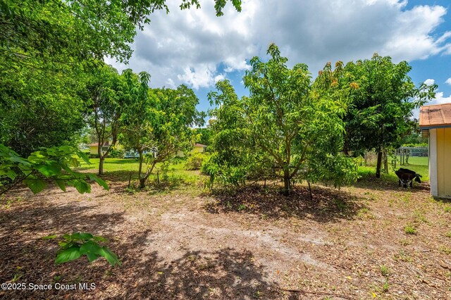 2280 Grove St, Titusville, FL 32796 - view of yard